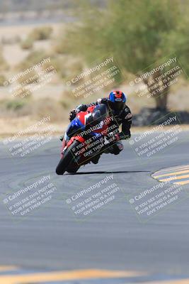 media/May-14-2023-SoCal Trackdays (Sun) [[024eb53b40]]/Turn 5 Tree of Life (1125am)/